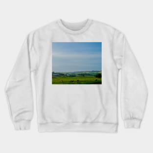 Farm with grazing cattle Crewneck Sweatshirt